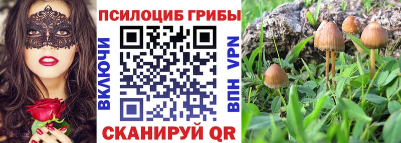 Купить  Куртамыш  Псилоцибиновые грибы ЛСД 